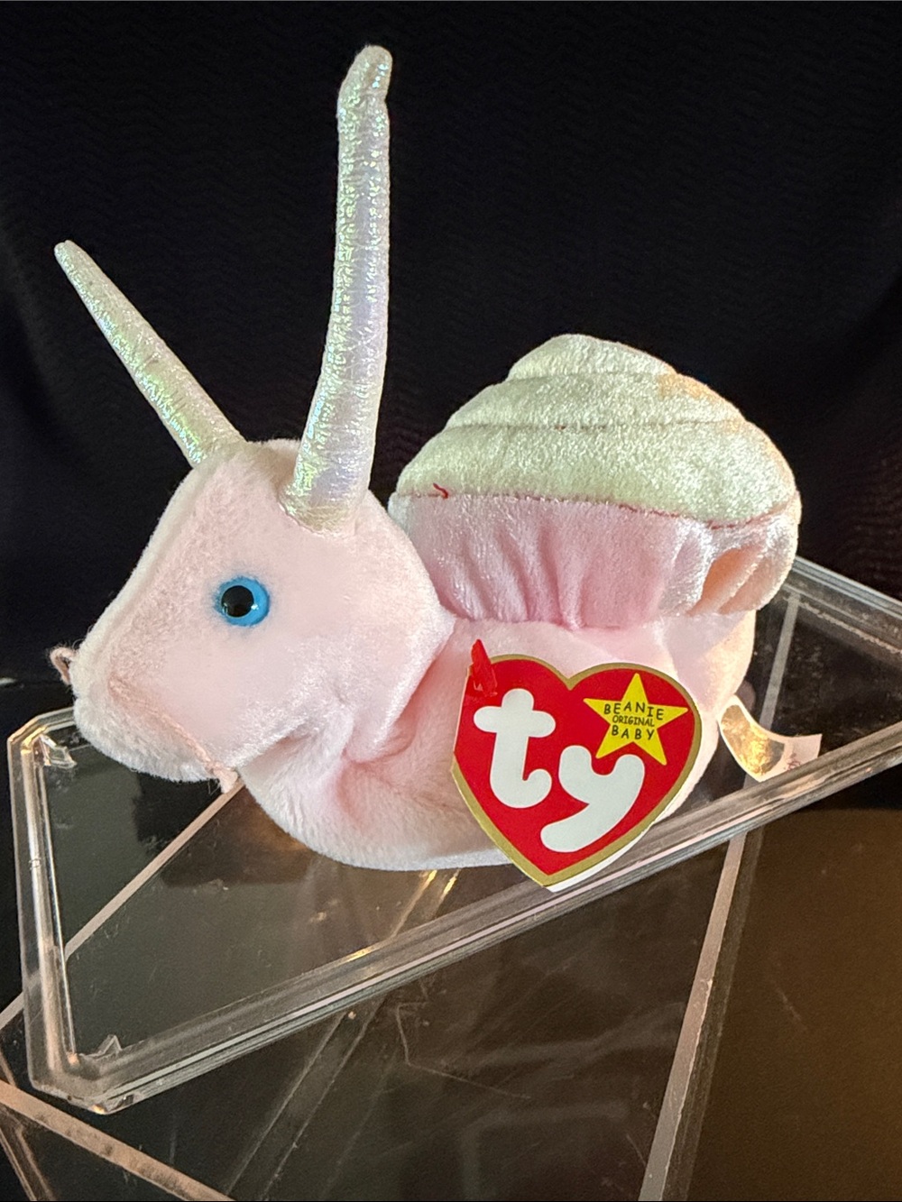 Vintage 1999 Ty Beanie Baby, Swirly the Snail with Hologram Tag + Collector Box